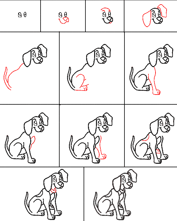 Инструкция: Как нарисовать собаку?